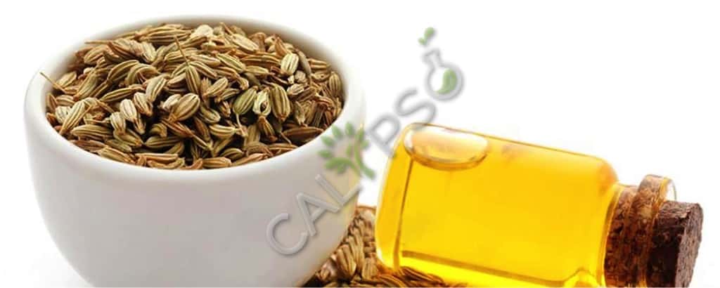Comprar aceite esencial de hinojo